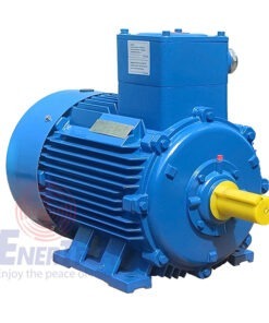 Động Cơ Điện Phòng Chống Cháy Nổ Bevi