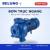 Máy bơm trục ngang Beluno CX65-200/22 22kW