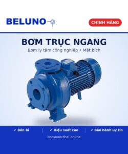 Bơm trục ngang Beluno ( Singapore )