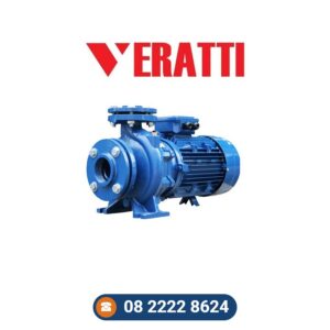 Máy bơm trục ngang Veratti – hotline 08 2222 8624